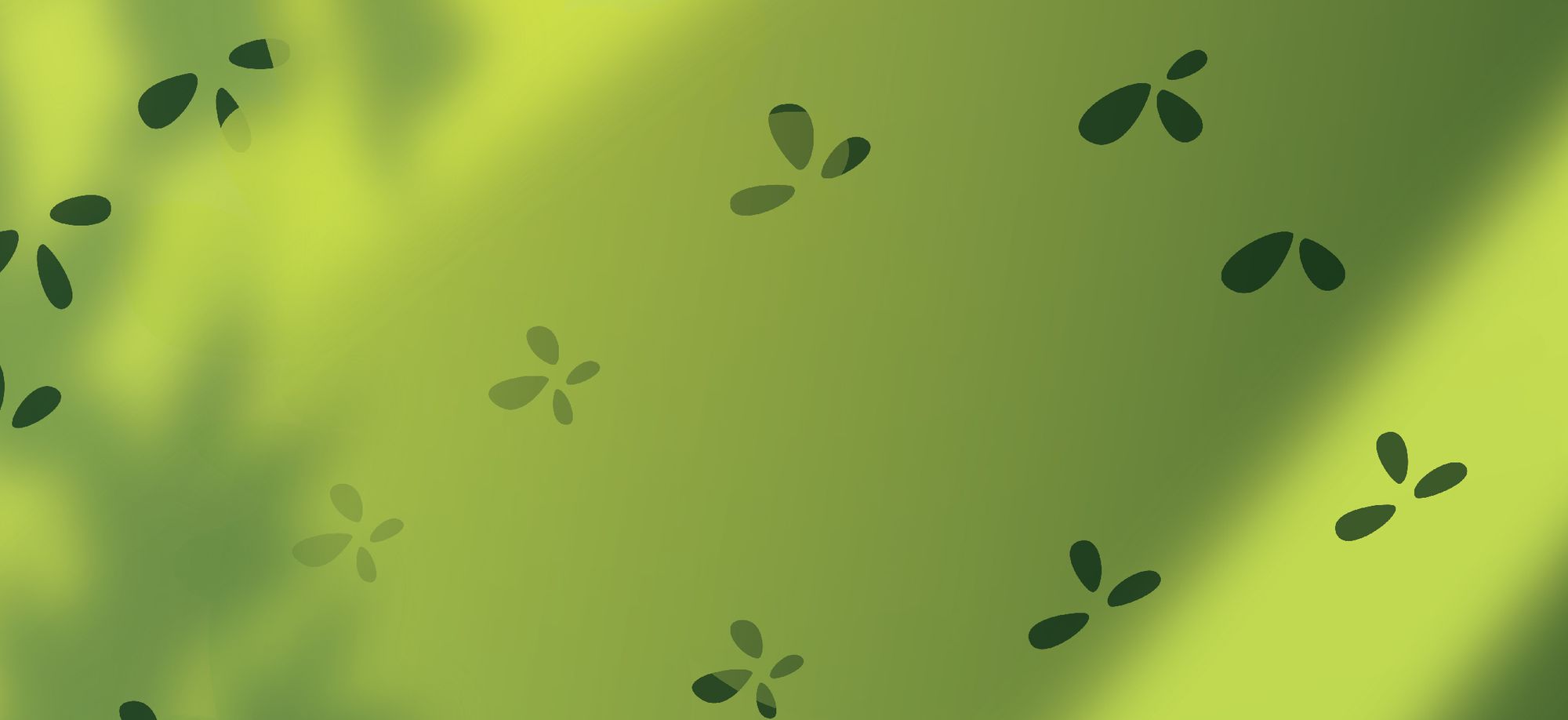 We turned our bus rooftops into canvases